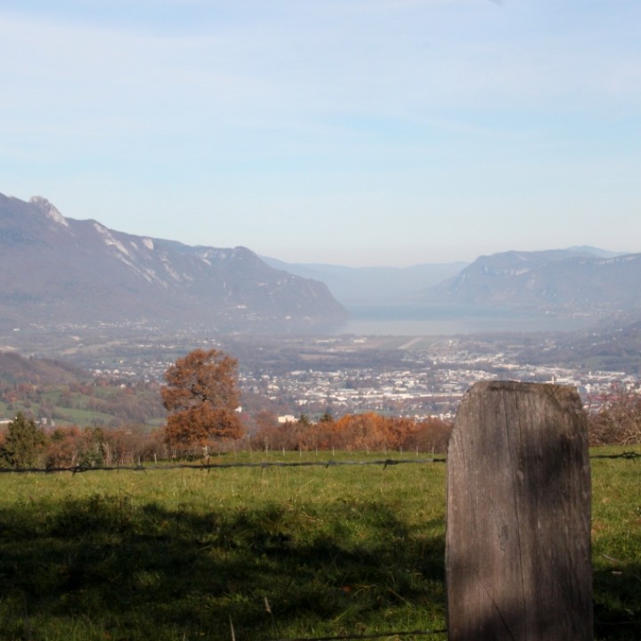 Trail de Montagnole