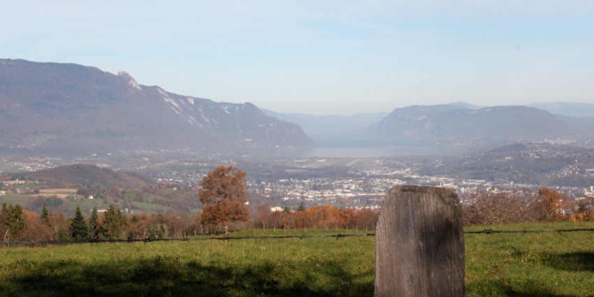 Trail de Montagnole