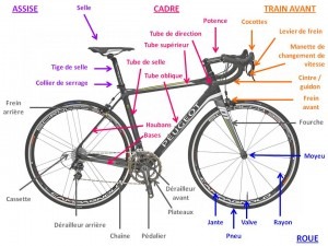 Anatomie velo