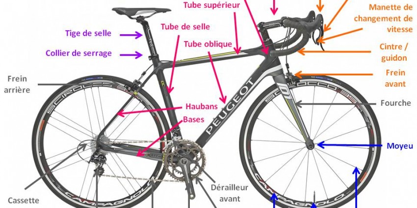 Anatomie velo