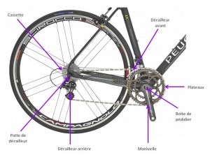 Anatomie velo