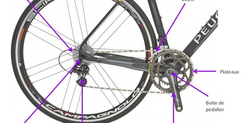 Anatomie velo