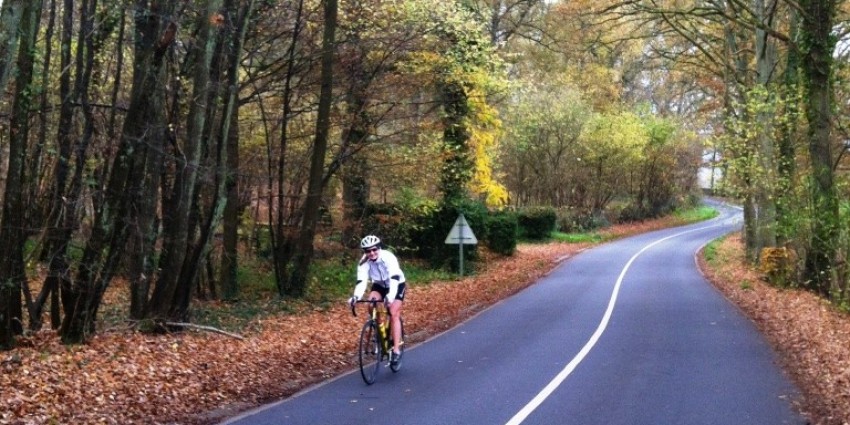 Anatomie du vélo de route