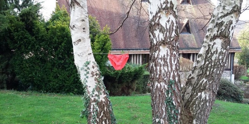 culotte Kalenji