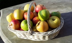 monodiete_pomme