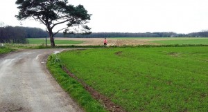 running