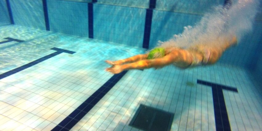 plongeon