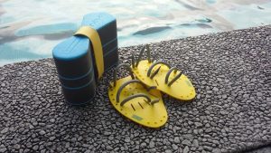 entrainement-natation