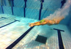 plongeon